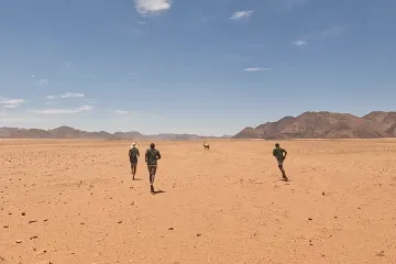 I moderní člověk může uštvat v poušti antilopu, prokázal český experiment