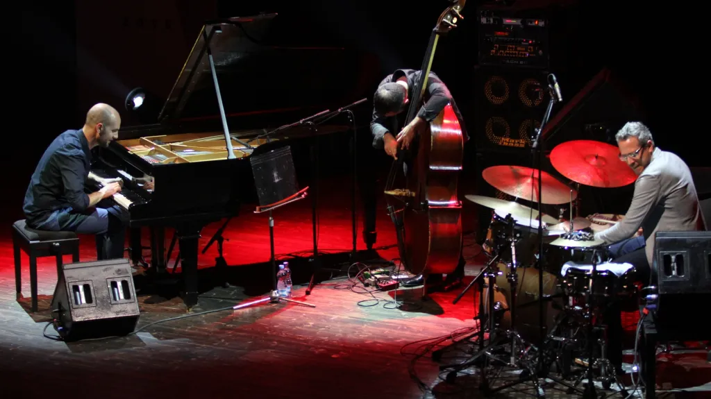Trio Shaie Maestra