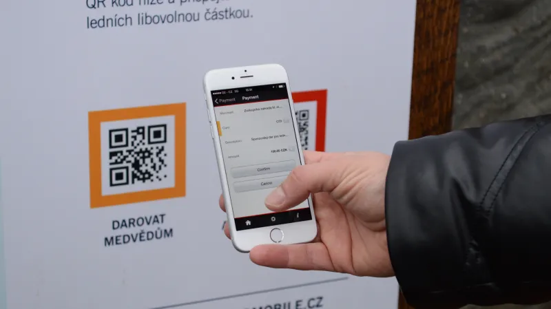 Placení příspěvku na lední medvědy