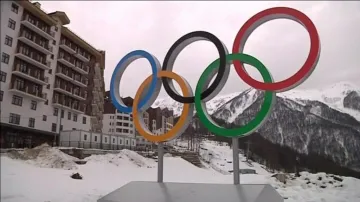 Zimní olympijské hry v Soči