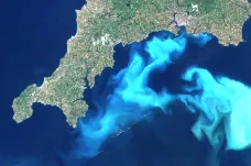 Oteplování oceánů žene toxické bakterie na sever. Místo v Mexickém zálivu jsou už v Pobaltí