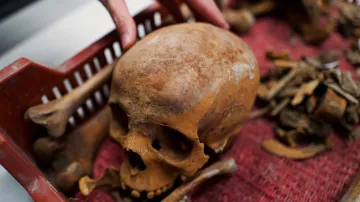 Obsah sarkofágu nalezeného v Budapešti