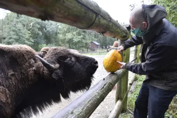 Zoologické zahrady sčítají ztráty a plánují úsporná opatření. Návštěvníci je potěšili zájmem o adopce