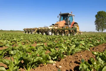 V obchodech přibývají potraviny z dovozu. Prohlubuje se závislost hlavně na státech EU