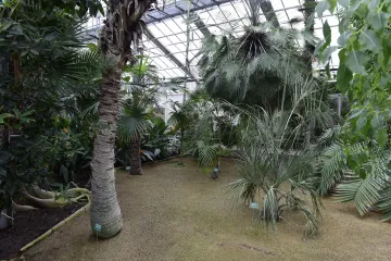 Olomouc koupí od Výstaviště Flora skleníky