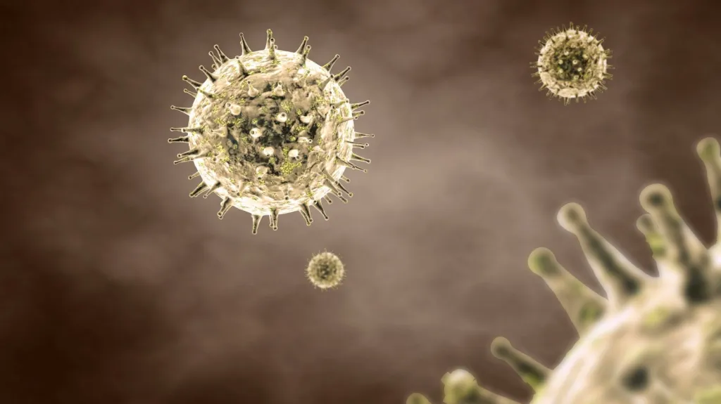 Virus chřipky