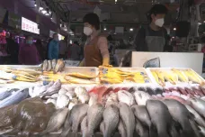 Na ostrovech Senkaku roste napětí. Číňané zde loví ryby, které Japonci do Číny dovážet nesmějí