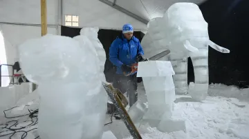 Stany s ledovými sochami budou pro návštěvníky otevřené denně od 09:00 do 16:30