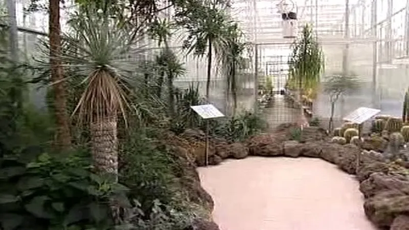 Arboretum v Novém Dvoře