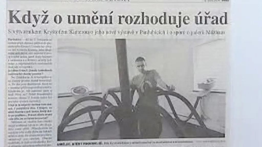 Článek v novinách