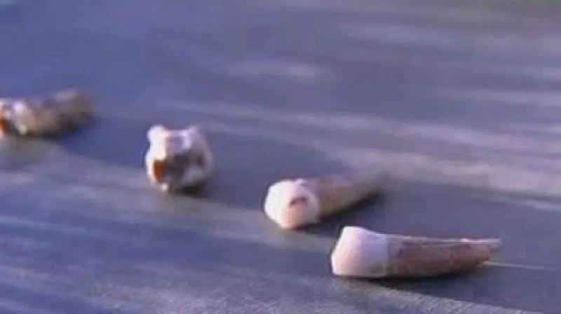 Reportáž Davida Miřejovského