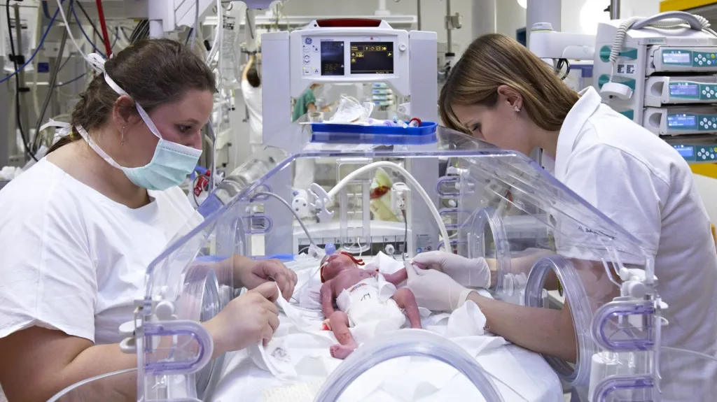 První česká paterčata