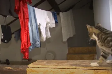 Špína a přemrštěné nájmy. Reportéři ČT zmapovali obchod s chudobou