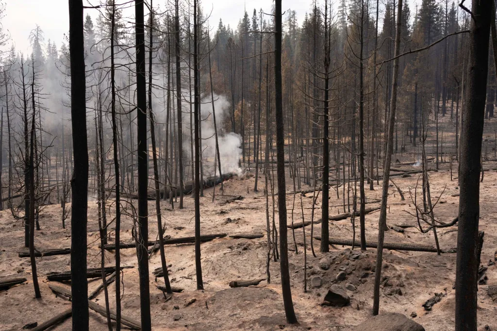 Požáry v hornatých oblastech státu Oregon mají přímý dopad na smogovou situaci ve velkých městech Spojených států amerických