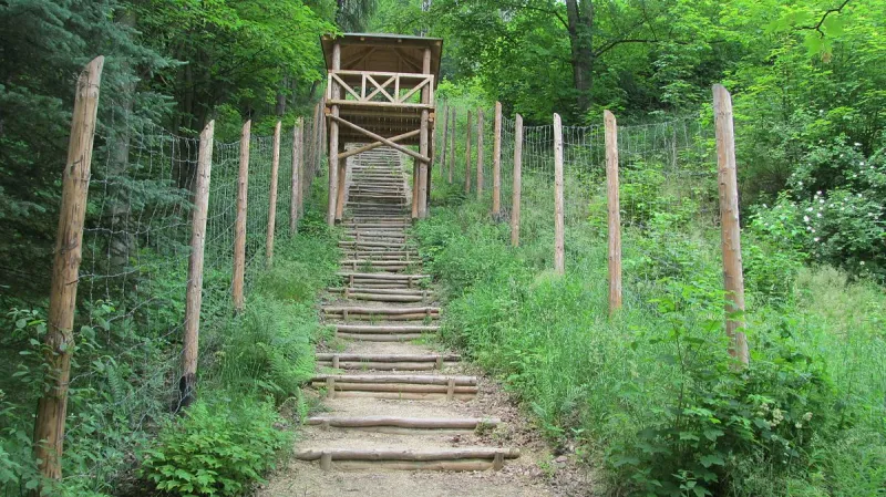 Schody a dozorčí věž u dolu Svornost. Zbytky pracovního tábora nyní slouží jako expozice pro návštěvníky. Přilehlý důl Svornost je stále v provozu.