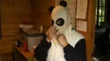 Pandí kamufláž