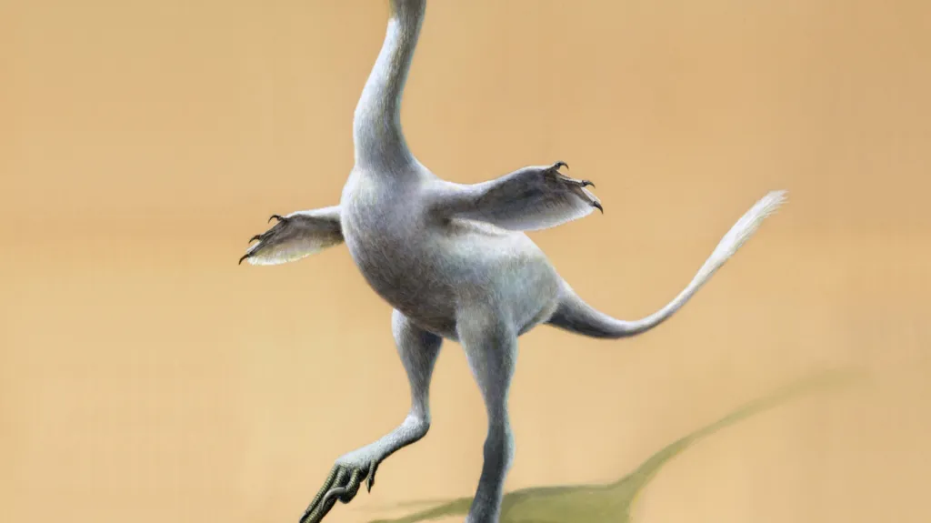 Halszkaraptor escuilliei