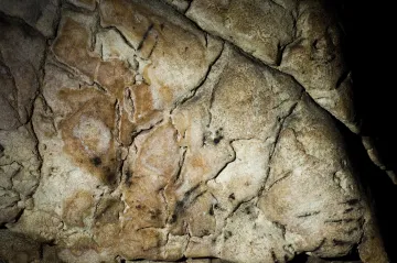 Vědci objevili v Moravském krasu sedm tisíc let starou kresbu. Jedná se o nejstarší výtvarné dílo v Česku