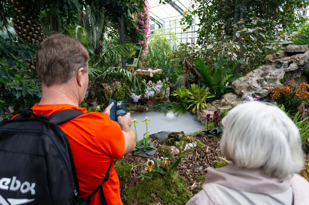 Výstava orchidejí v Olomouci