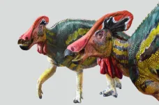 V Mexiku objevili neznámý druh „ukecaného“ dinosaura