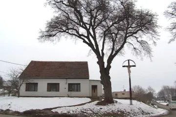 V Milešovicích mají ostatky padlých z bitvy tří císařů