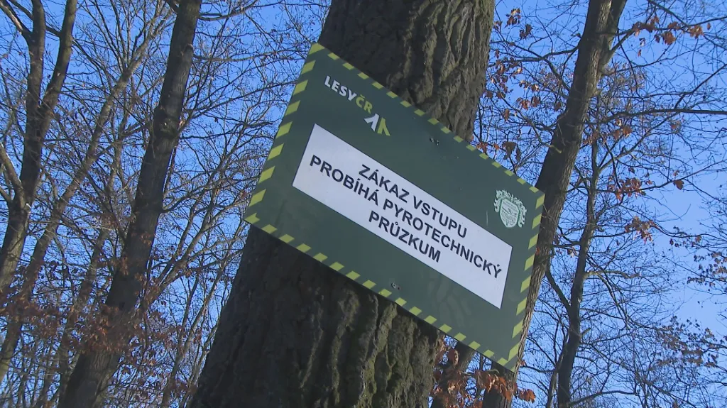 Pyrotechnický průzkum v Bořím lese