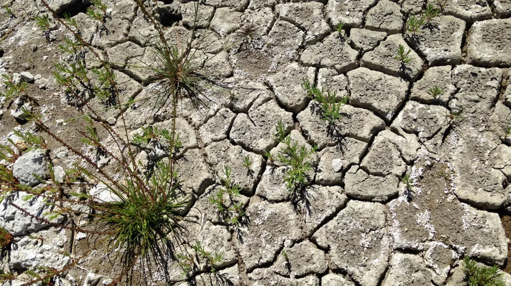 Vyschlá půda u jezera Mono Lake