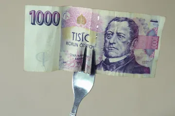 Ve volbách se rozhoduje i o rozdělení miliard. Loni jich kraje porcovaly sto šedesát