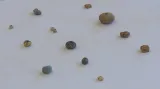 Archeologové hledají v zemině i drobné předměty a úlomky