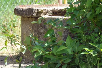 Děti ve školce spadly do studny. Zachránila je učitelka