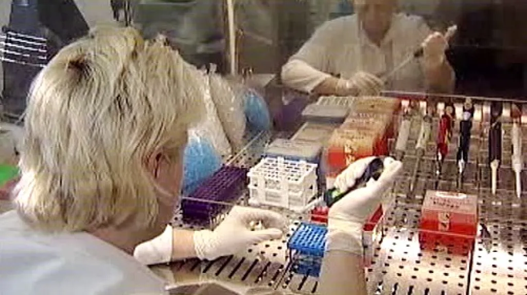 Laboratorní testy