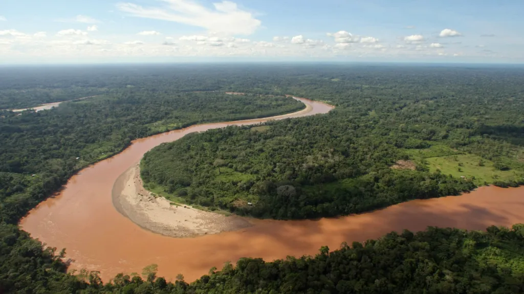 Amazonie