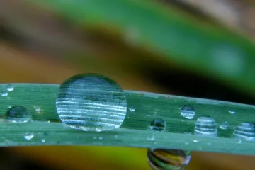 Vánoce budou uplakané, zima přijde až po Novém roce