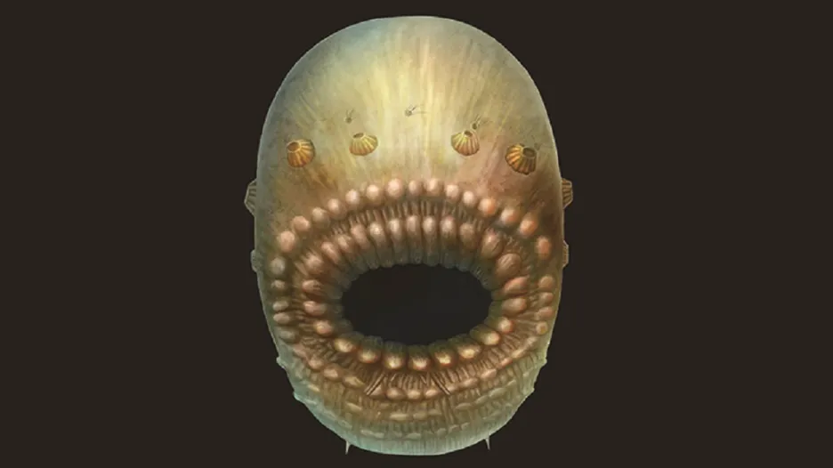 Saccorhytus