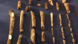 Kosterní pozůstatky Homo naledi
