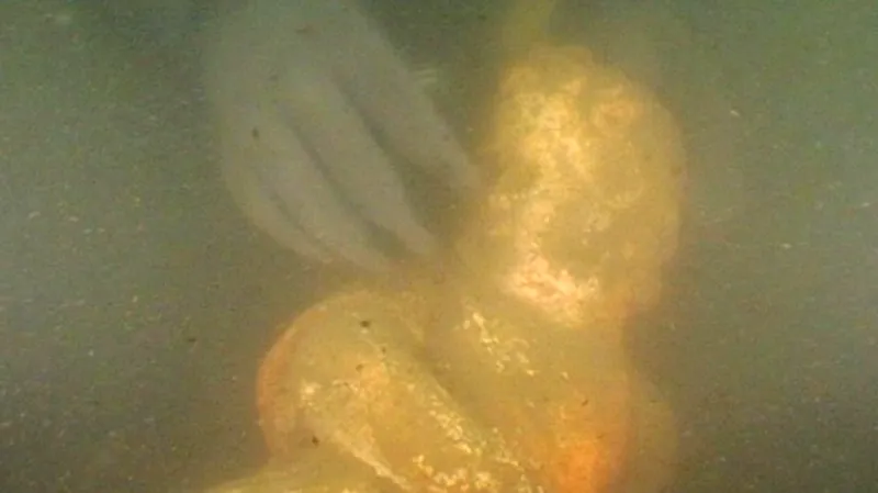 Soška při výlovu z jezírka