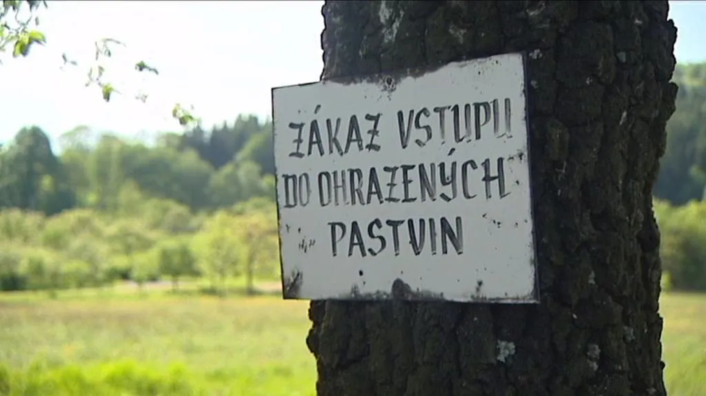 Ilustrační foto