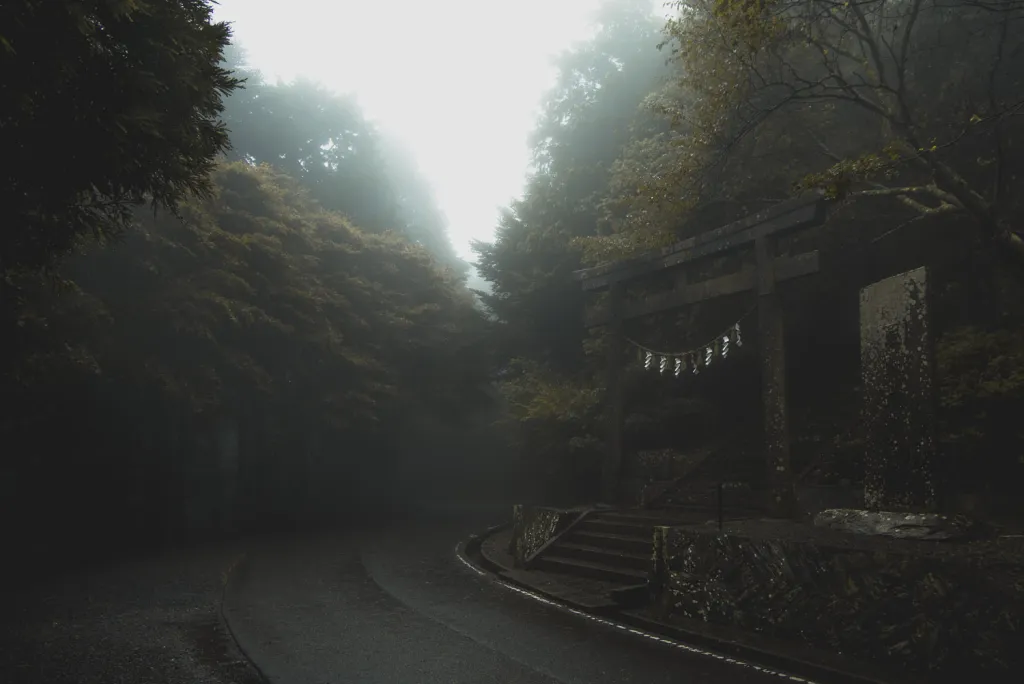 Vítěz kategorie 15 - 18 let Japonec Josiah Huddleston. Vstup se schodištěm a brána do chrámu v husté horské mlze.