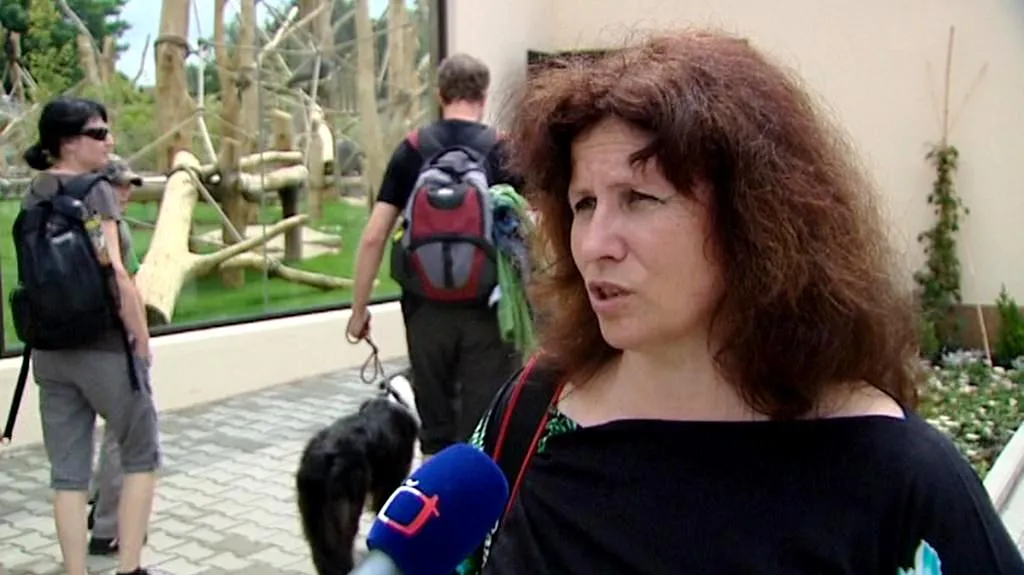 Dana Holečková