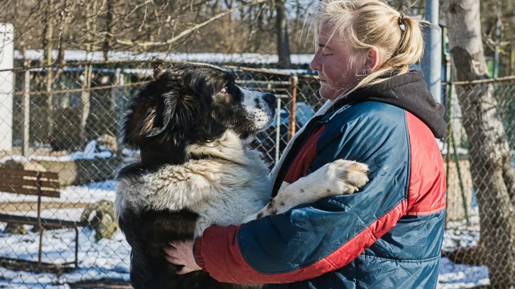 Útulek pro zvířata v Brně přijímá psy z fronty na Ukrajině
