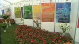 Flora Olomouc