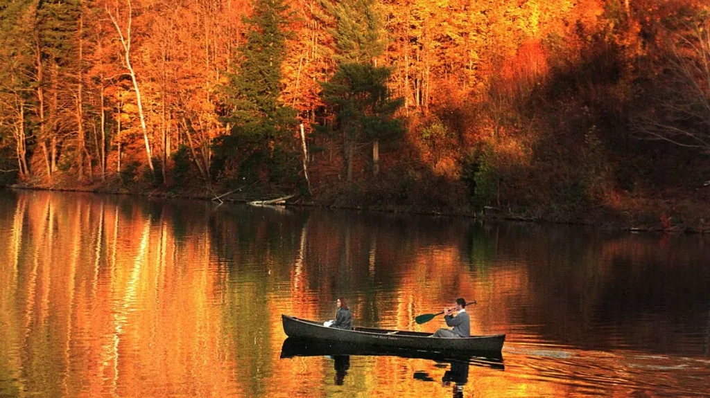 Podzimní les ve Vermontu