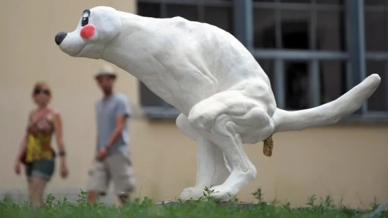 Semestrální práce studentů Bauhausu