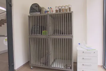 Ve Frýdku-Místku otevřeli animal box. Lidé do něj mohou vkládat nalezená zvířata