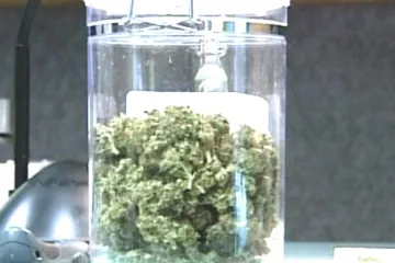 Marihuana by se brzy mohla užívat k léčbě, navrhují to experti