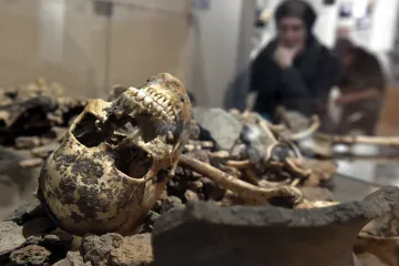 Střepy i střepiny. Deník archeologa začíná dobou bronzovou a končí druhou světovou