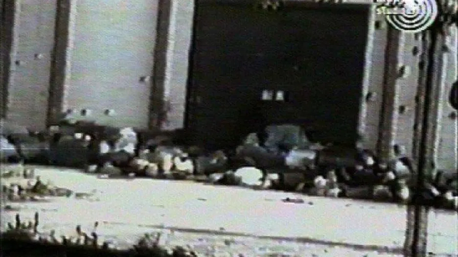 Masakr srebrenických mužů