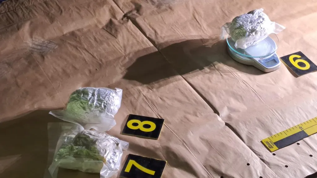 Na Teplicku zadrželi celníci téměř deset kilogramů drog