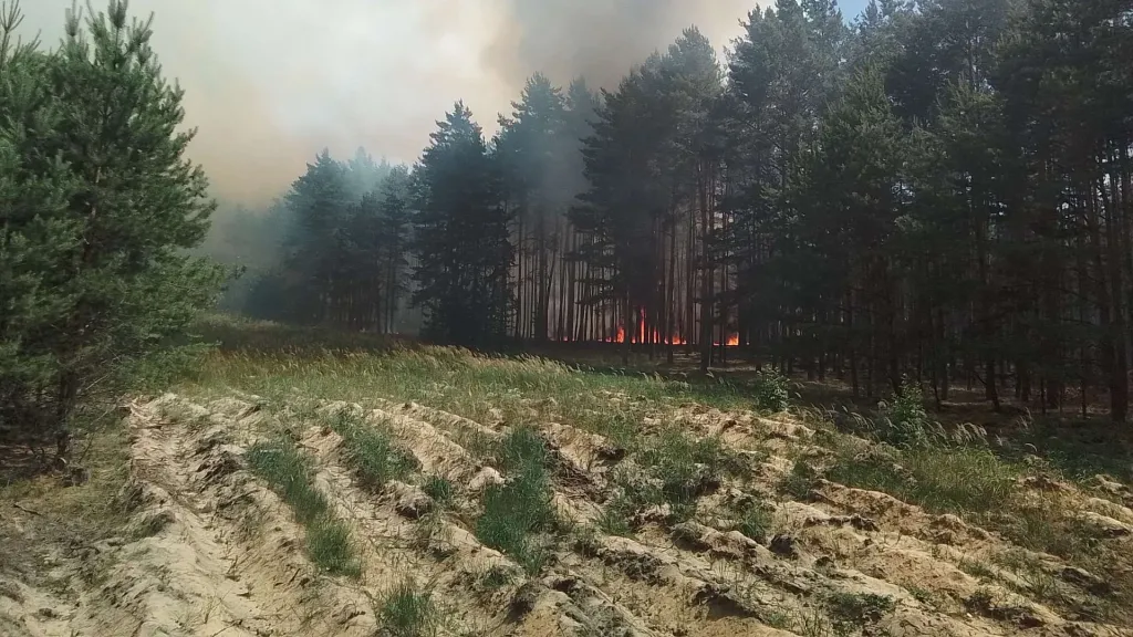 Požár lesa na Litoměřicku nedaleko muničního skladu