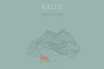 Dobrého je jako šafránu. Kalle si na Saffron Hills utrhli cenu Apollo